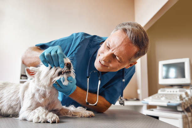 Best Emergency Wisdom Teeth Removal in Burlington, NC